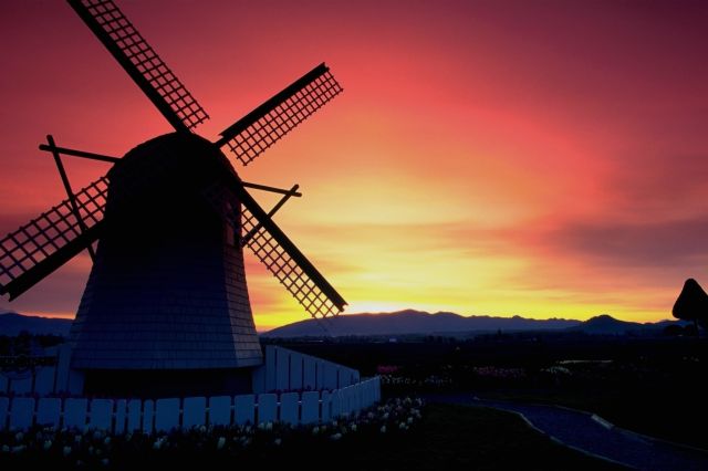 Dutch windmill at sunset