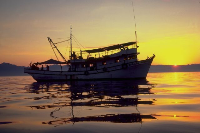 trawler at sunset