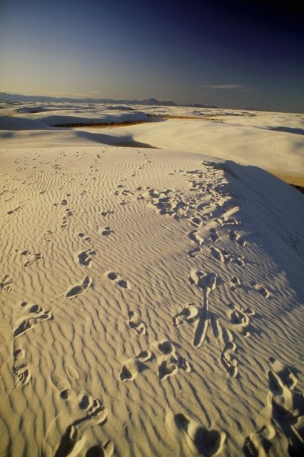 footprints in desert sand dunes