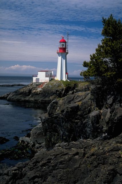 lighthouse on a rocky coast